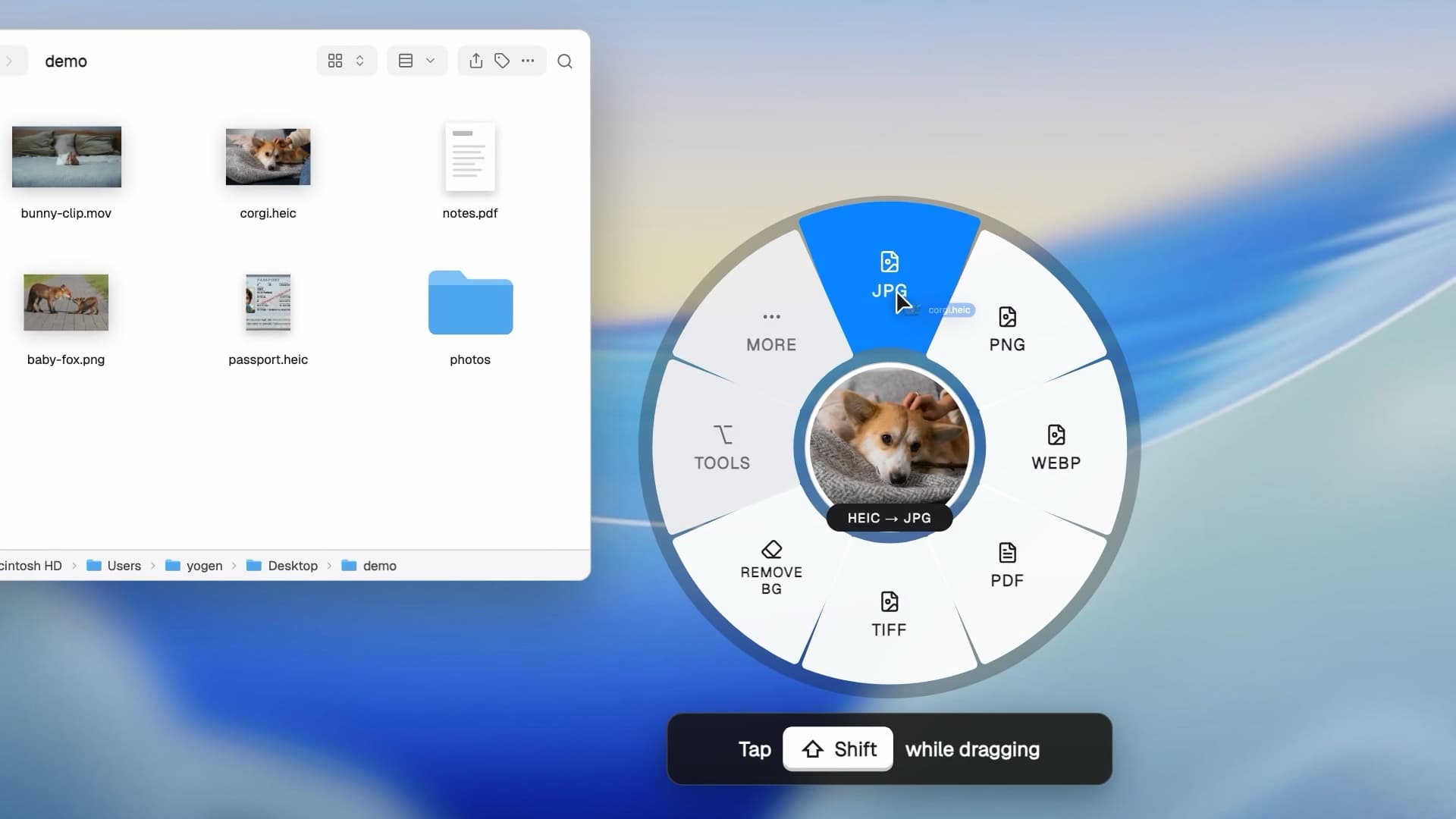 Terra Convert screenshot 1