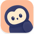 NotchOwl logo